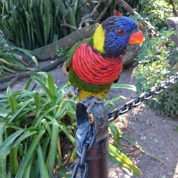 Meet your Posher - Picture 1 of 1